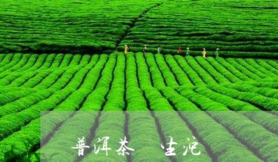 普洱茶 生沱/2023042730609